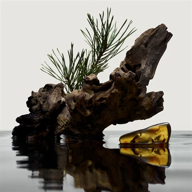 Burberry Hero Eau De Parfum - Image 5