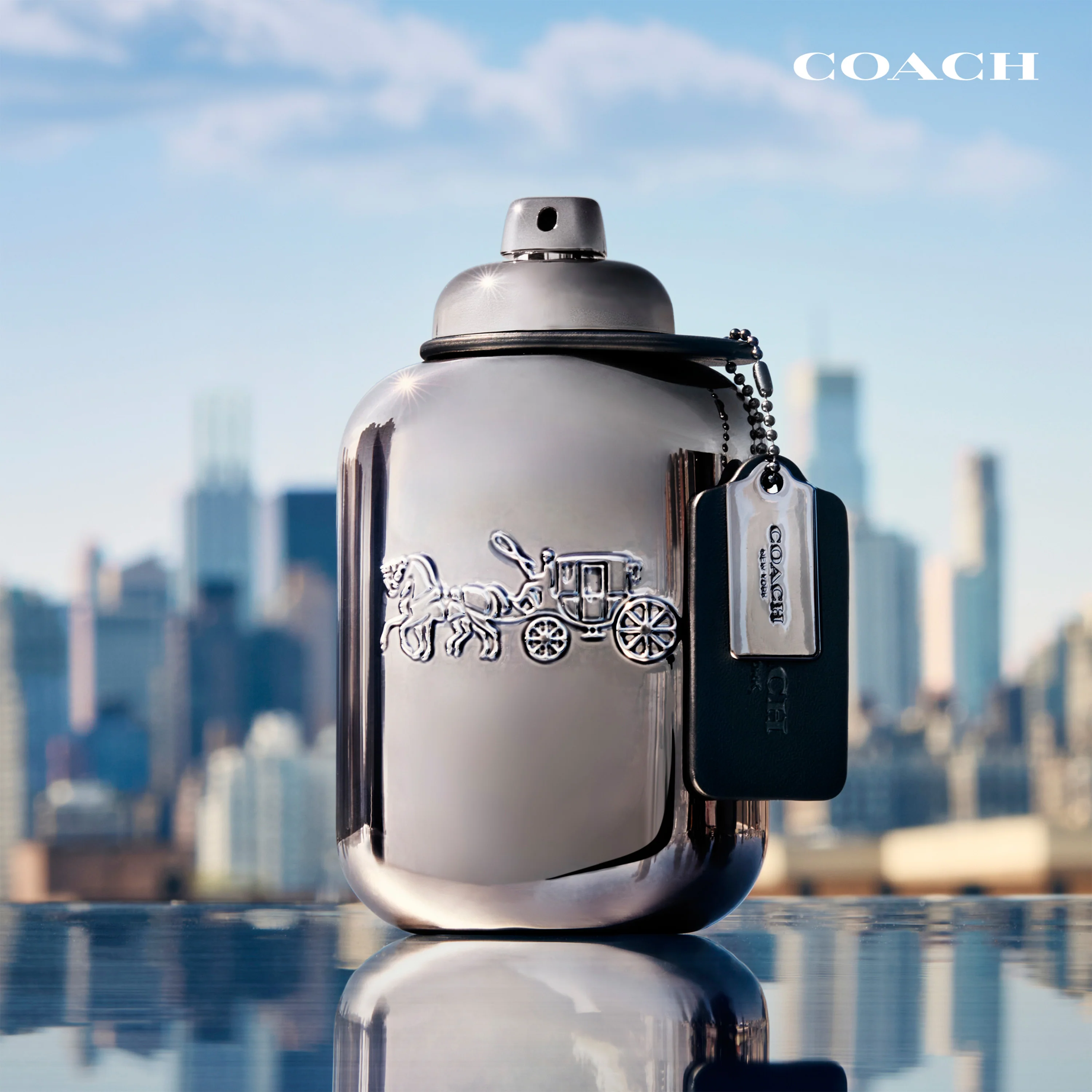 Coach Pure Platinum Parfum - Image 3
