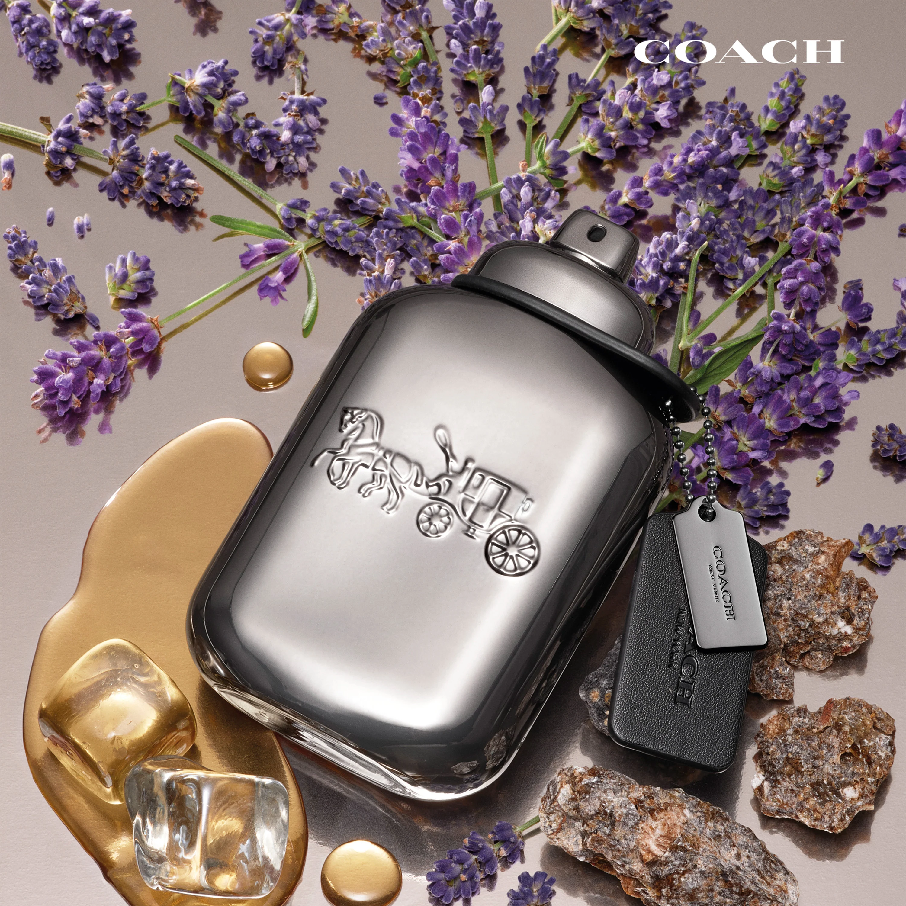 Coach Pure Platinum Parfum - Image 4