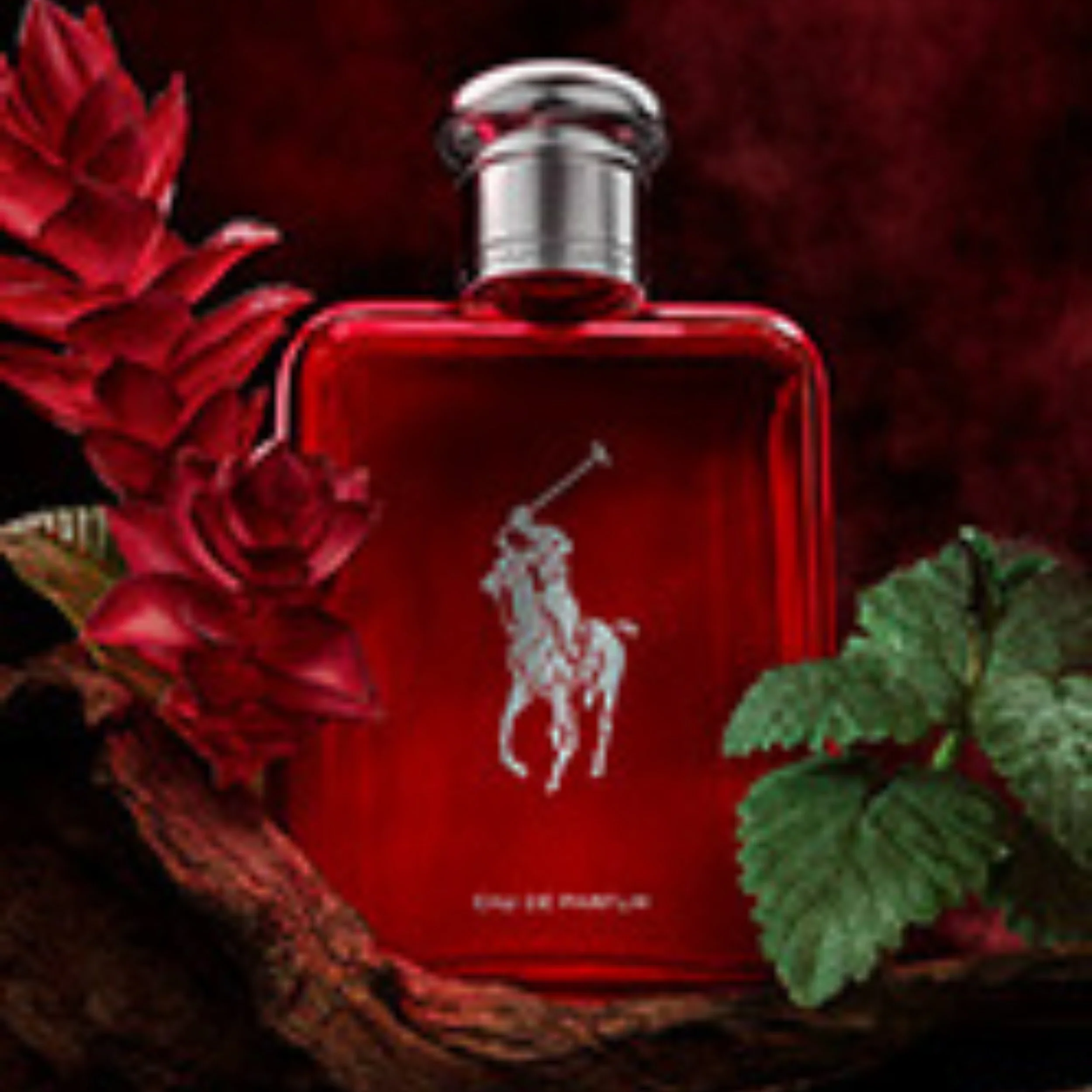 Ralph Lauren Polo Red Eau De Parfum - Image 3